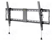 LCD/LED holder; black; tiltable; 70kg GOOBAY