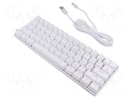 Keyboard; white; USB C; wired,US layout; mechanical keyboard,RGB SAVIO
