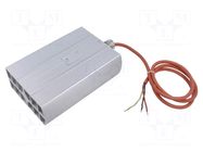 Heater; CREX 020; 100W; Uoper: 230V; IP66; Urated: 230V STEGO