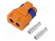 Connector: DC supply; plug; female; LFB30; 35A; 600V; PIN: 2; IP67 AMASS