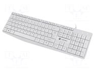 Keyboard; white; USB A; wired,slim,US layout; Len: 1.8m NATEC