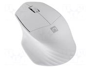 Mouse; white; USB A; wireless,optical; PnP,DPI change button NATEC