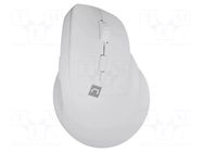 Mouse; white; USB A; wireless,optical; No.of butt: 6; 10m NATEC