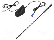 Antenna; car top,automotive; 0.4m; AM,FM,GPS; 1.2m; 75Ω; RG174 ESOL