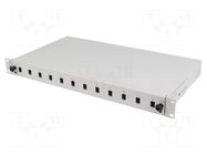 Fiber patch panel; grey; Number of ports: 12; Standard: 19" LANBERG