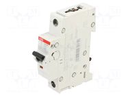 Circuit breaker; 230VAC; 220VDC; Inom: 3A; Poles: 1; Charact: C; 10kA ABB