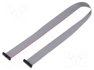 Ribbon cable with IDC connectors; IDC,both sides; 457.2mm; 18" SAMTEC