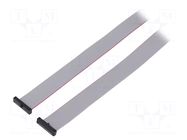 Ribbon cable with IDC connectors; IDC,both sides; 838.2mm; 33" SAMTEC