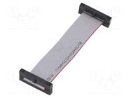 Ribbon cable with IDC connectors; IDC,both sides; 76.2mm; 3" SAMTEC