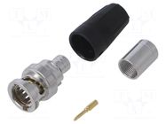 Plug; straight NEUTRIK