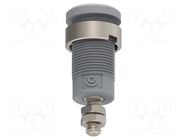 Connector: 4mm banana; socket; 25A; grey; nickel plated; M4; 34mm ELECTRO-PJP