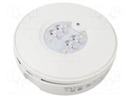 Lamp: LED emergency luminaire; RoundTech; IP44; white; 0.3W; 150lm EATON ELECTRIC