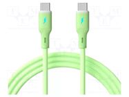 Cable; USB 2.0; USB C plug,both sides; nickel plated; 1m; green AKYGA