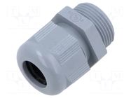 Cable gland; PG16; polyamide; grey ILME