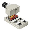 Sensor-actuator passive distributor (without cable), complete module, Hood version, Number of contact sockets: 4, Number of poles: 4, M12 Weidmuller