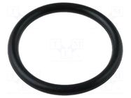 O-ring; 10pcs. FISNAR