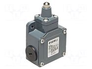 Limit switch; pin plunger Ø10mm; NO + NC; 10A; max.500VAC; PG13,5 PIZZATO ELETTRICA