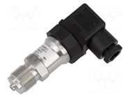 Converter: pressure; 0÷10bar; 15÷30VDC; relative pressure; 1% BAUMER