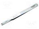 Tweezers; 120mm; Blade tip shape: rounded; Tipwidth: 2mm; 15g BERNSTEIN