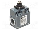 Limit switch; rubber seal,pin plunger Ø10mm; NO + NC; 10A; IP67 PIZZATO ELETTRICA