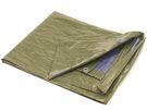 TARPAULIN - BLUE/GREEN - REGULAR - 2 x 4 m