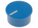 Cap; thermoplastic; push-in; Pointer: white; blue CLIFF