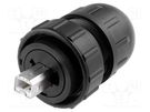 Plug; USB B; Data-Con-X; for cable; straight; USB 2.0; IP67,IP68 SWITCHCRAFT