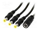 Cable; 2x0.5mm2; DC 5,5/2,1 plug x3,DC 5,5/2,1 socket; straight ESPE
