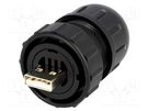 Plug; USB A; Data-Con-X; for cable; straight; USB 2.0; IP67,IP68 SWITCHCRAFT