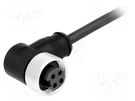 Plug; 7/8"; 1.5m; female; PIN: 4; angled 90°; with lead HARTING