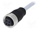 Plug; 7/8"; 5m; female; PIN: 4; straight; with lead; PVC HARTING