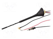 Antenna; automotive; 0.23m; AM,DAB,FM; with amplifier; 5m; 10dB 4CARMEDIA