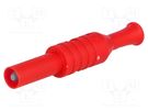 Plug; 4mm banana; 36A; 1kVAC; red; insulated; 63mm; 8mΩ; on cable ELECTRO-PJP