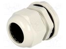 Cable gland; PG29; IP68; polyamide; grey; UL94V-2; 20.5mm KSS WIRING