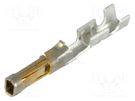 Contact; female; gold-plated; 24AWG÷22AWG; SL; cut from reel MOLEX