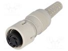 Plug; DIN; female; PIN: 5; Layout: 240°; straight; for cable HIRSCHMANN