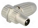 Plug; coaxial 9.5mm (IEC 169-2); male; shielded; angled 90°; 75Ω TELESTE