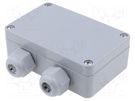 Enclosure: junction box; X: 64mm; Y: 98mm; Z: 34mm; polyamide; IP65 BOPLA