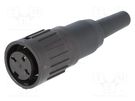 Plug; DIN; female; PIN: 3; straight; for cable; soldering; 300V; 5A AMPHENOL