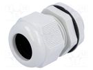 Cable gland; with long thread; M25; 1.5; IP68; polyamide; grey KSS WIRING