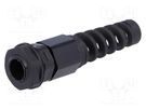 Cable gland; with strain relief; M12; 1.25; IP68; polyamide; black KSS WIRING