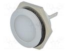 Indicator: LED; flat; white; 24÷28VDC; Ø22mm; IP67; metal; ØLED: 20mm SIGNAL-CONSTRUCT