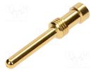 Contact; male; copper alloy; gold-plated; 2.5mm2; 14AWG; crimped HARTING