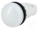 Control lamp; 22mm; RMQ-Titan; -25÷70°C; Ø22.5mm; IP67; white EATON ELECTRIC
