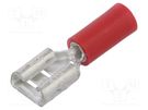 Terminal: flat; 6.3mm; 0.8mm; female; 0.5÷1.5mm2; crimped; red JST