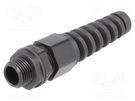 Cable gland; with strain relief; M16; 1.5; IP68; polyamide; black KSS WIRING