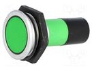 Indicator: LED; flat; green; 230VAC; Ø30.2mm; IP67; brass; ØLED: 20mm SIGNAL-CONSTRUCT