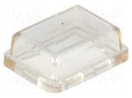 Accessories: cover; Body: transparent; 15x21mm BULGIN