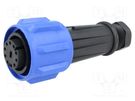 Connector: circular; plug; female; PIN: 10; Buccaneer 900; IP68 BULGIN