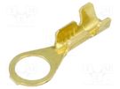 Tip: ring; M5; 0.5÷1mm2; crimped; for cable; non-insulated; brass BM GROUP